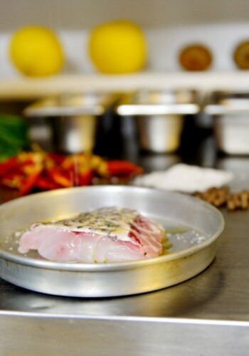 food_253